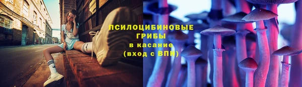 ешки Алзамай