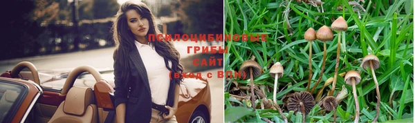 прущие крисы Абинск