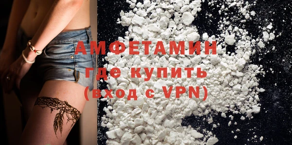 прущие грибы Абаза